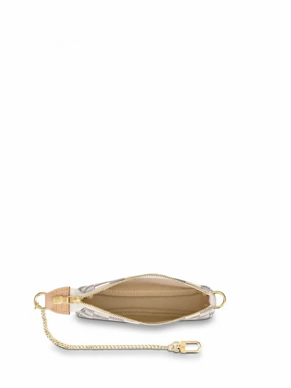 Louis Vuitton Mini Pochette Accessoires N58010