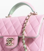 Chanel Classic Single Flap Bag Quilted Lambskin Mini
