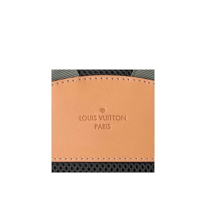 Louis Vuitton Backpack PM M43882