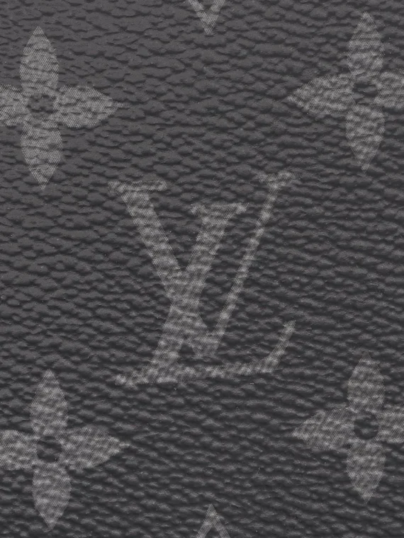 Louis Vuitton M61695 Multiple Wallet