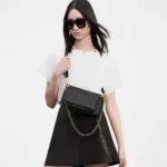 Louis Vuitton M80399 Multi Pochette Accessoires