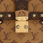 Louis Vuitton Vertical Trunk Pochette