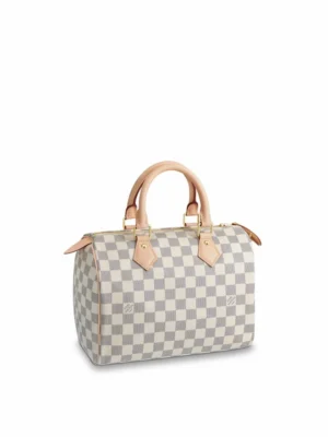 Louis Vuitton Speedy 25 N41371
