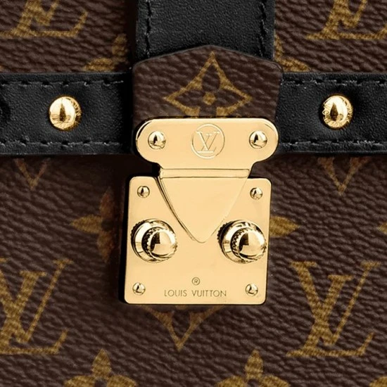 Louis Vuitton Vertical Trunk Pochette