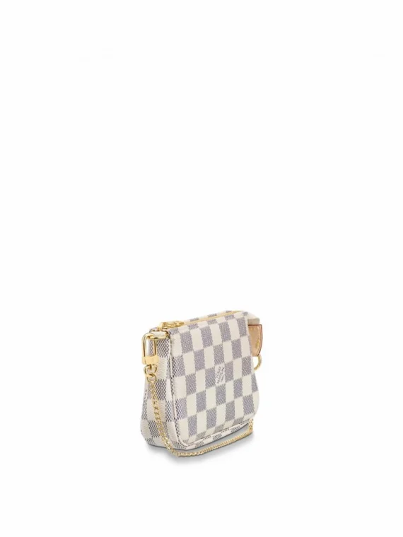 Louis Vuitton Mini Pochette Accessoires N58010