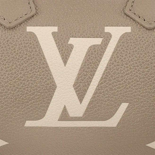 LOUIS VUITTON Papillon BB
