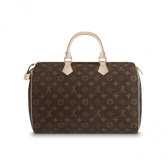 Louis Vuitton Speedy 35 M41107