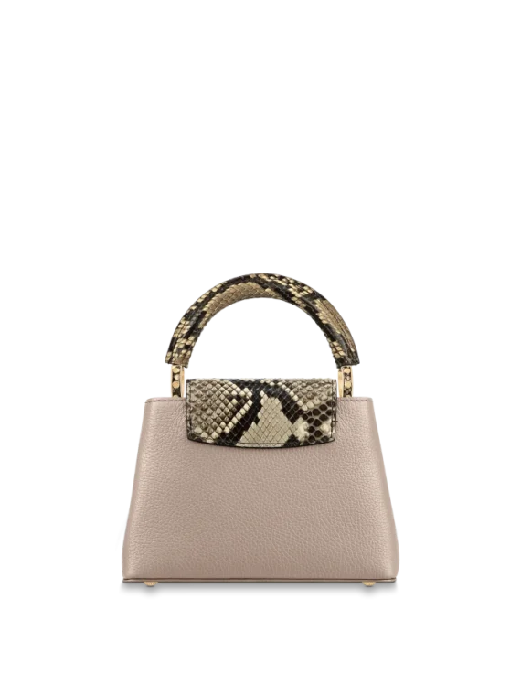 Louis vuitton Capucine MINI