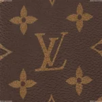 Louis Vuitton Brazza Wallet M66540