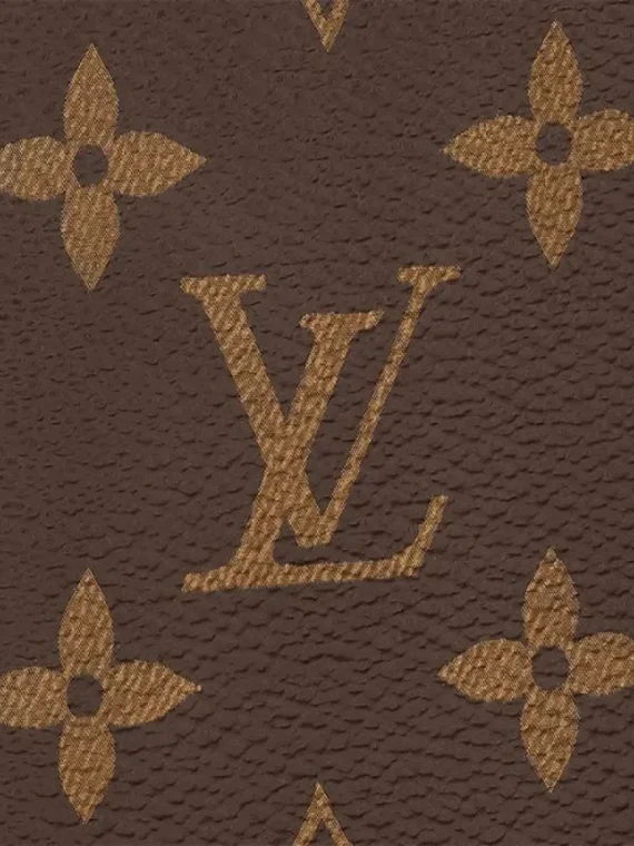 Louis Vuitton Brazza Wallet M66540