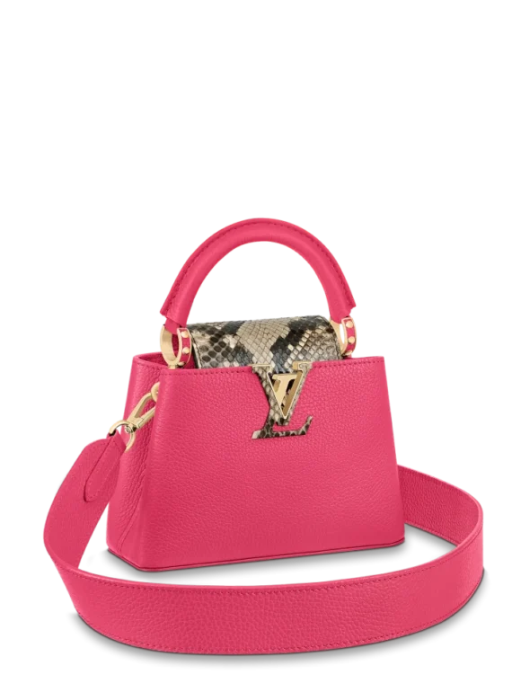 Louis vuitton Capucine BB