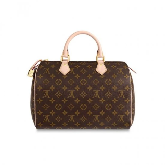 Louis Vuitton Speedy 30 M41108
