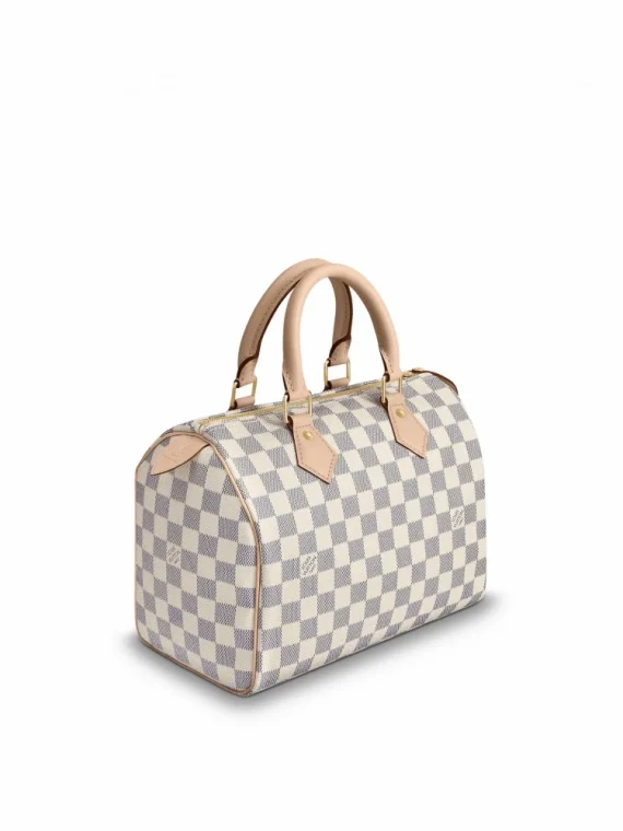 Louis Vuitton Speedy 25 N41371