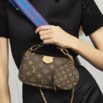 Louis Vuitton Multi-Pochette Accessoires BLUE