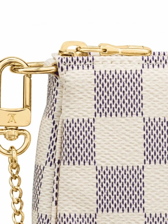 Louis Vuitton Mini Pochette Accessoires N58010