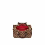 Louis Vuitton Speedy Bandouliere 25 N41368