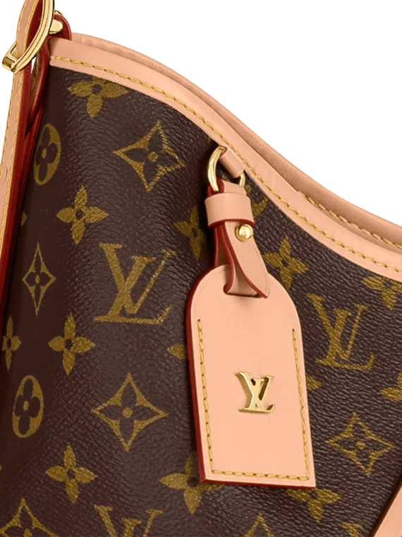 Louis Vuitton M46197 CARRYALL MM