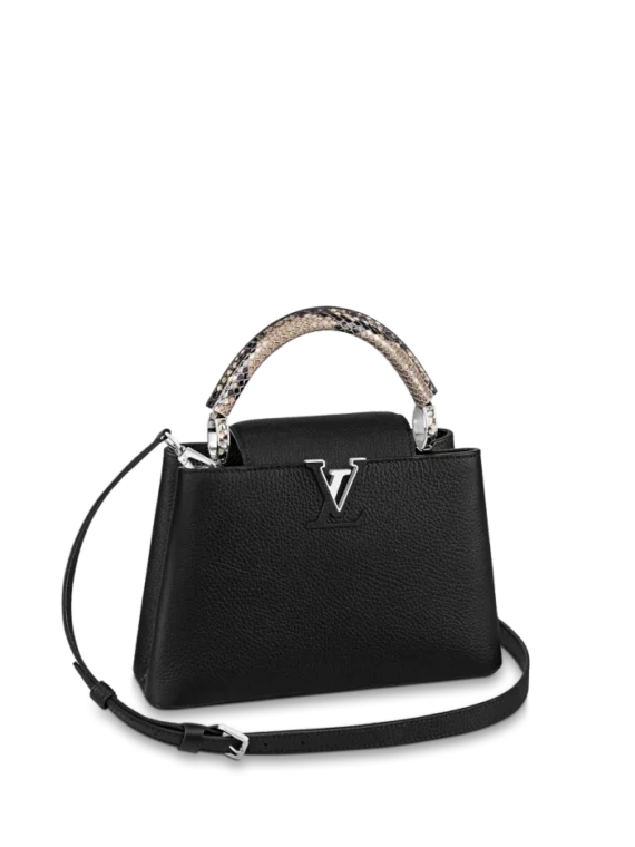 Louis vuitton Capucine BB