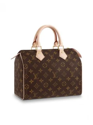 Louis Vuitton Speedy 25 M41109