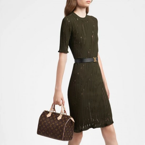 Louis Vuitton Speedy 25 M41109