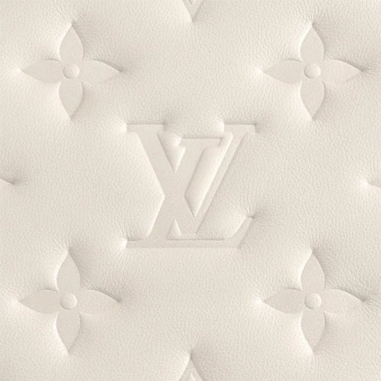 Louis Vuitton Coussin PM