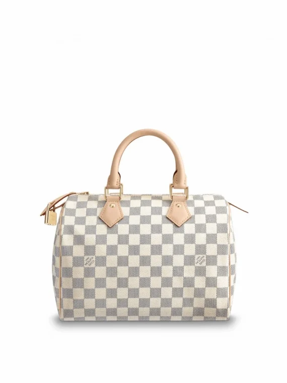 Louis Vuitton Speedy 25 N41371