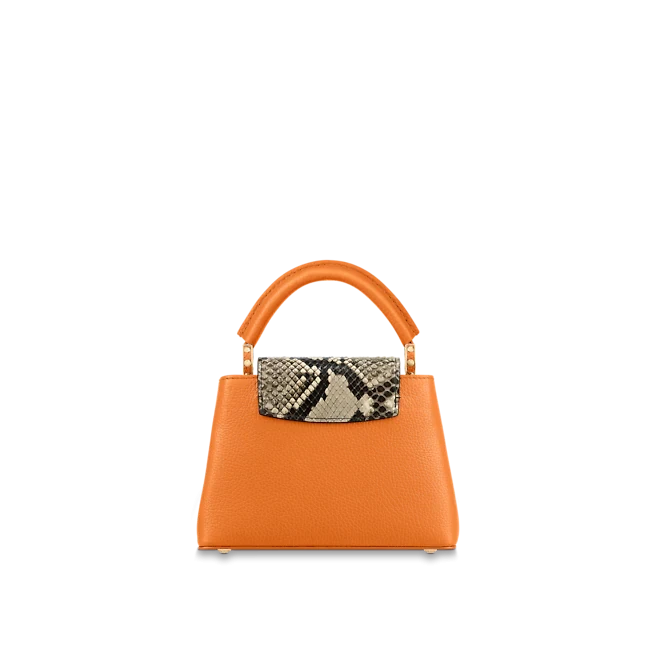 Louis vuitton Capucine MINI