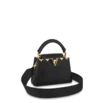Louis vuitton Capucine MINI
