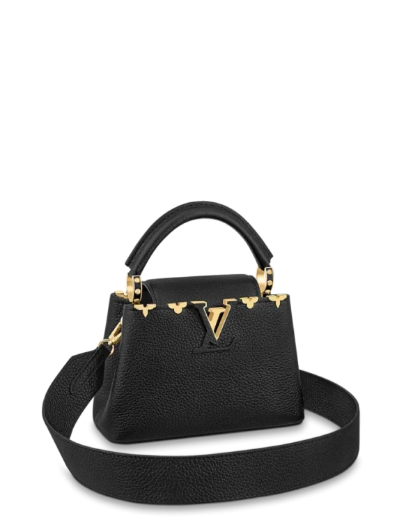 Louis vuitton Capucine MINI