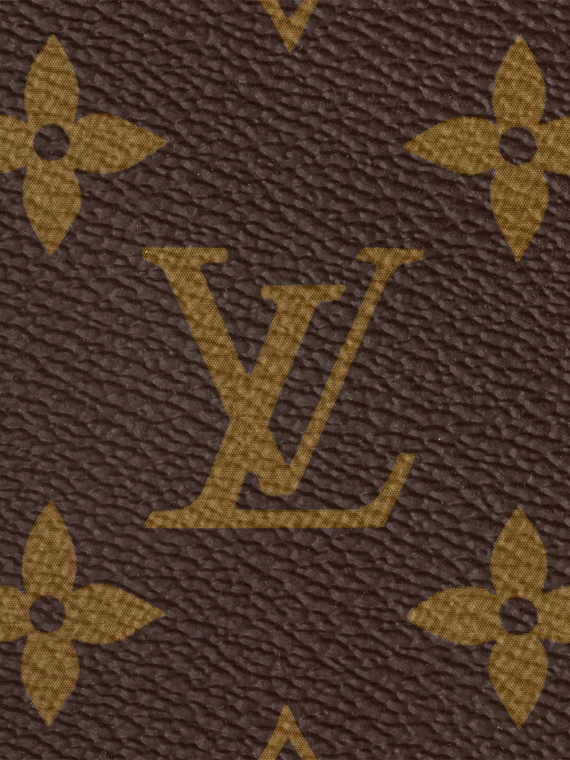 Louis Vuitton M46197 CARRYALL MM