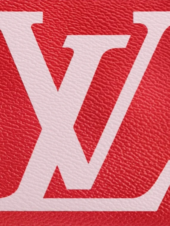 Louis Vuitton M67550 Zippy Wallet