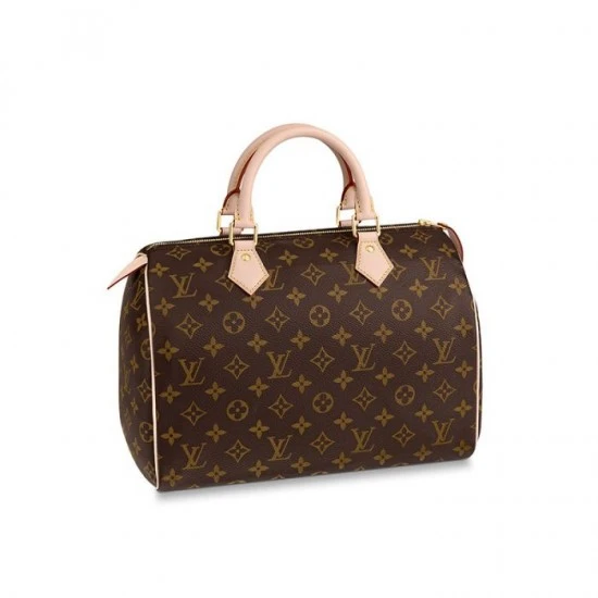 Louis Vuitton Speedy 30 M41108