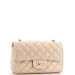 Chanel Reissue 2.55 Flap Bag Quilted Caviar 226