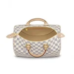 Louis Vuitton Speedy 30 N41370