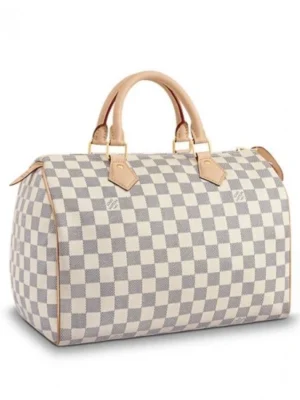 Louis Vuitton Speedy 30 N41370