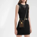 Louis Vuitton M63913 Vertical Trunk Pochette