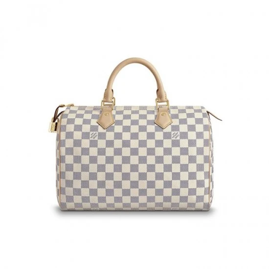 Louis Vuitton Speedy 30 N41370