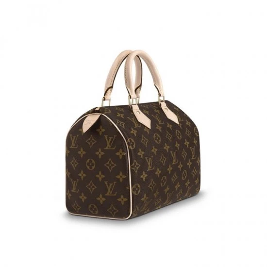 Louis Vuitton Speedy 25 M41109