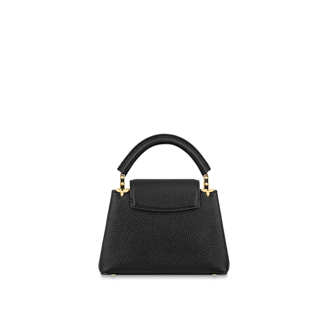 Louis vuitton Capucine MINI
