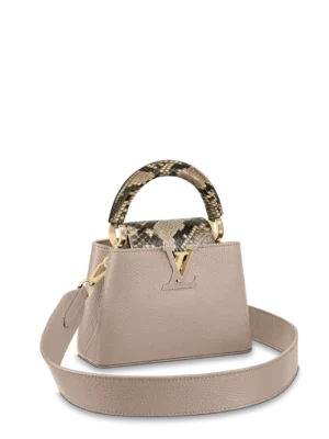 Louis vuitton Capucine MINI