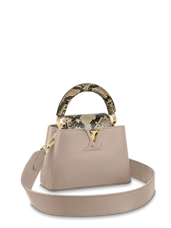 Louis vuitton Capucine MINI
