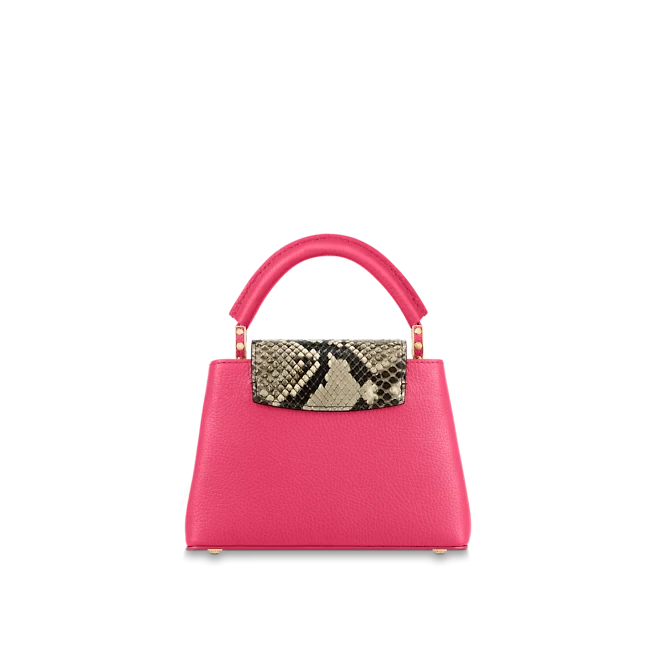 Louis vuitton Capucine BB