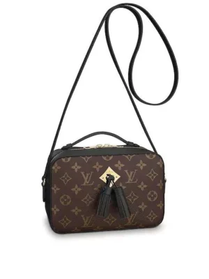 Louis Vuitton Saintonge M43555