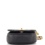 Chanel CC Chain Handle Zip Around Vanity Case with Chain Quilted Lambskin Mini