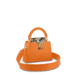 Louis vuitton Capucine MINI