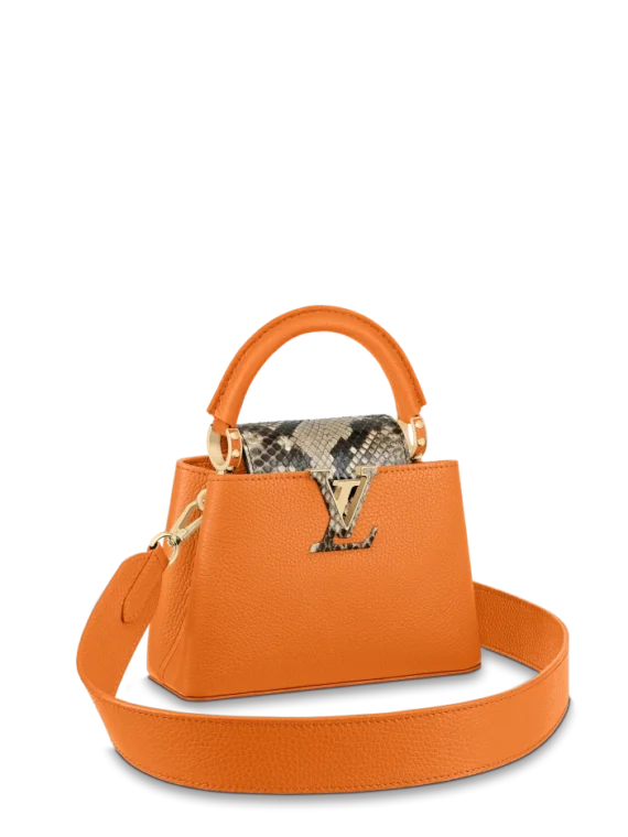 Louis vuitton Capucine MINI