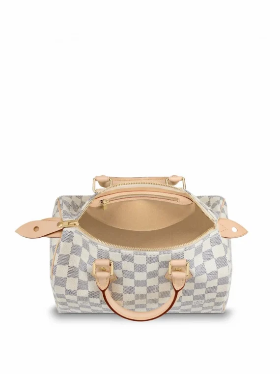 Louis Vuitton Speedy 25 N41371