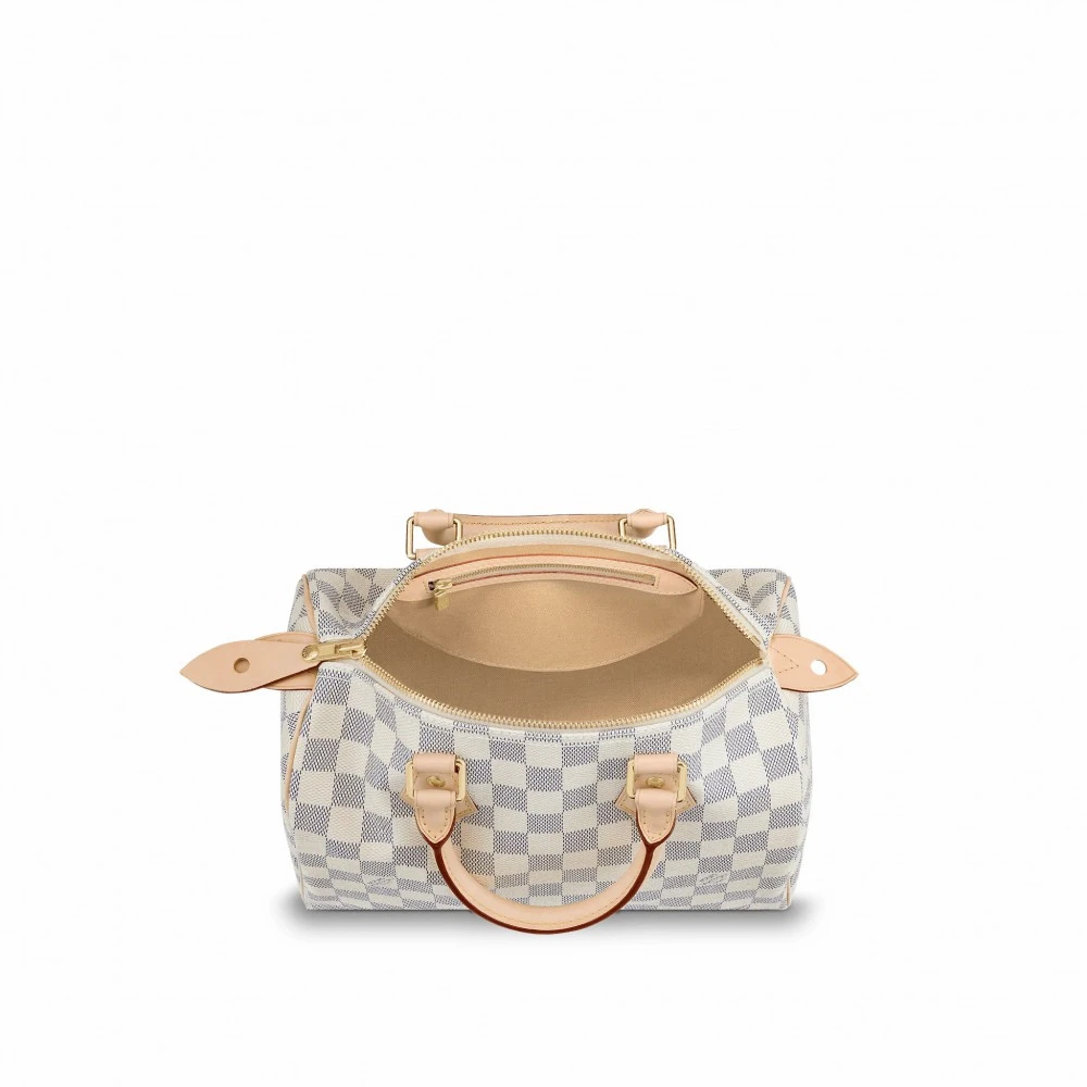 Louis Vuitton Speedy 25 N41371